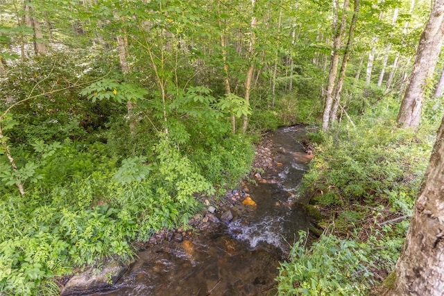 524 White Rock Rd, Cullowhee, NC 28723 - photo 34