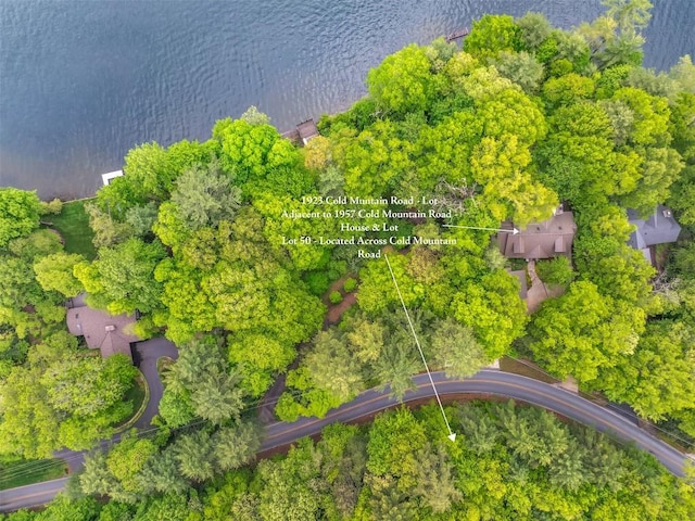 1923 Cold Mountain Rd, Lake Toxaway, NC 28747