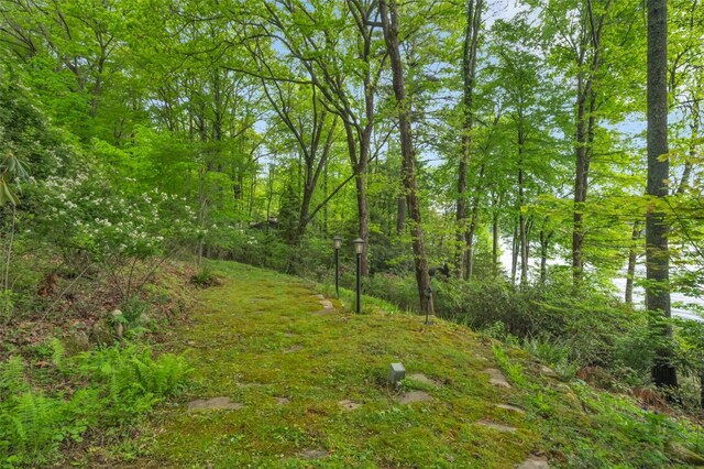 1923 Cold Mountain Rd, Lake Toxaway, NC 28747