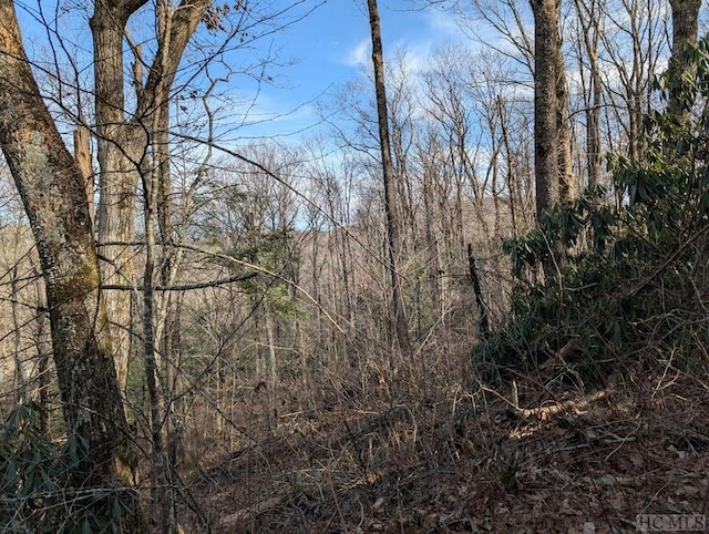 Listing photo 2 for LOT1 Apple Mountain Ln, Highlands NC 28741