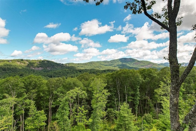 281 High Cliffs Rd, Cashiers, NC 28717 - photo 5
