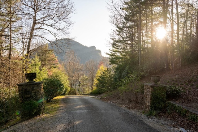 281 High Cliffs Rd, Cashiers, NC 28717 - photo 58
