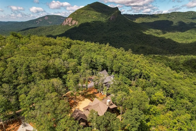 281 High Cliffs Rd, Cashiers, NC 28717 - photo 72