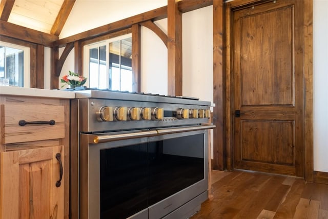 room details featuring dark wood-type flooring and high end stove
