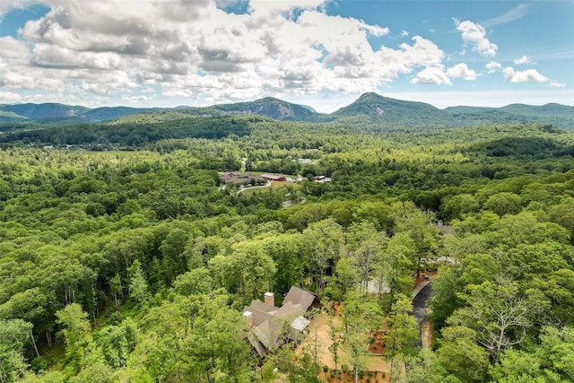 281 High Cliffs Rd, Cashiers, NC 28717 - photo 67