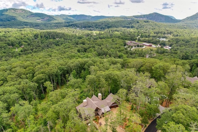 281 High Cliffs Rd, Cashiers, NC 28717 - photo 68