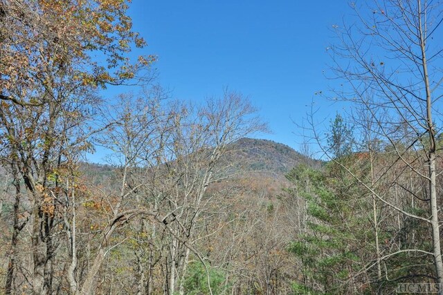 view of mountain feature