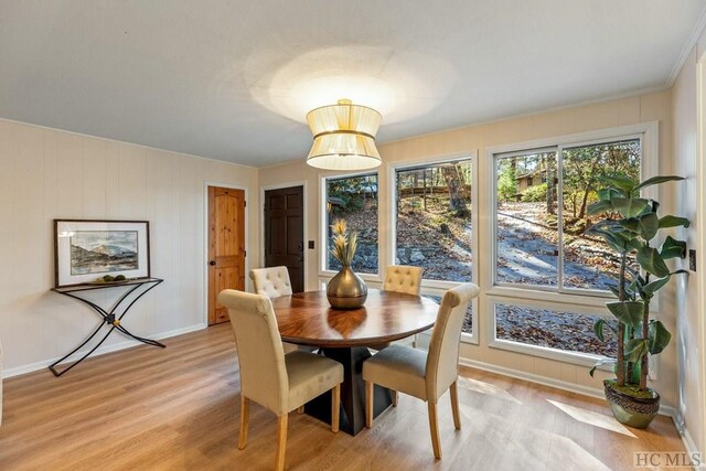 dining area with light hardwood / wood-style floors