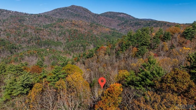 view of mountain feature