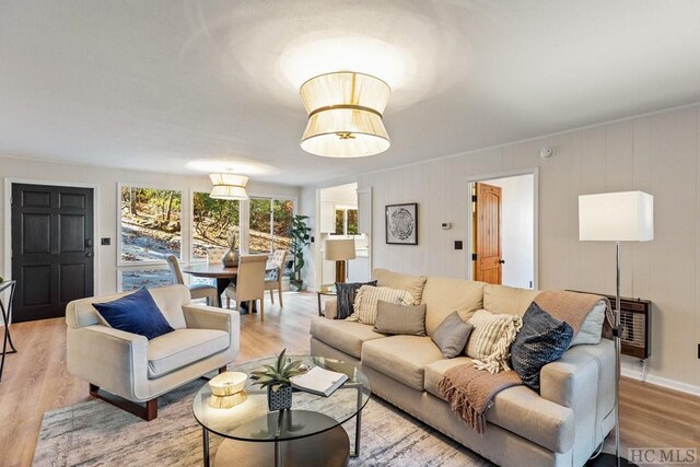 living room featuring heating unit and light wood-type flooring