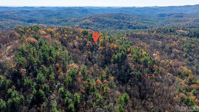 drone / aerial view featuring a mountain view