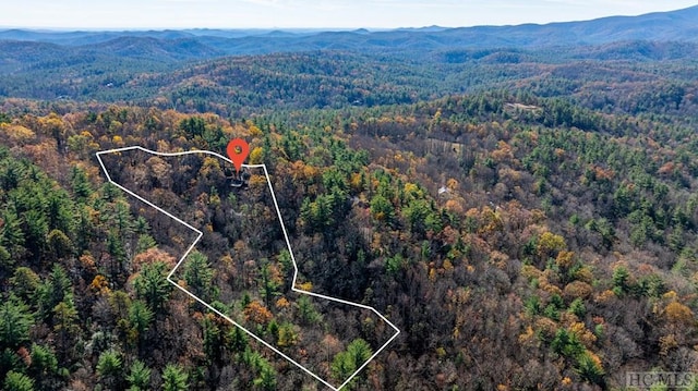 aerial view featuring a mountain view