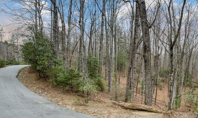 Listing photo 3 for LOT30 Peach Ct, Sapphire NC 28774