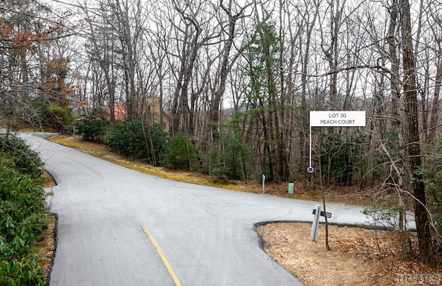 Listing photo 2 for LOT30 Peach Ct, Sapphire NC 28774