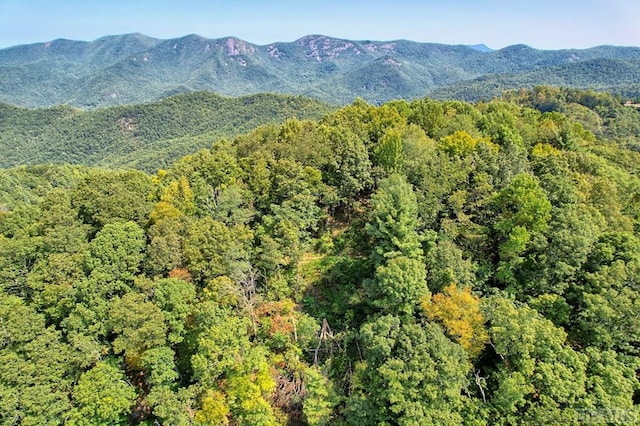 TBD Buck Knob Rd, Scaly Mountain, NC 28775