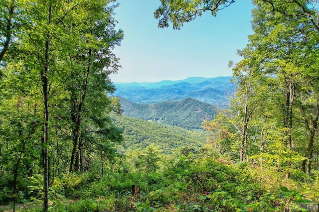 TBD Buck Knob Rd, Scaly Mountain NC, 28775 land for sale