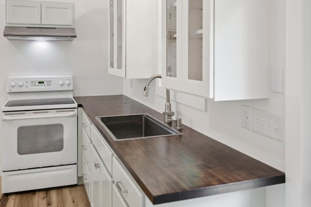 185 Little Elbow Mountain Rd, Lake Toxaway, NC 28747 - kitchen featuring electric range, under cabinet range hood, white cabinetry, glass insert cabinets, and light wood-style floors