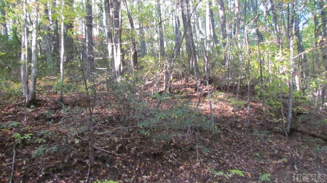 Listing photo 2 for LOT113 W Christy Trl, Sapphire NC 28774