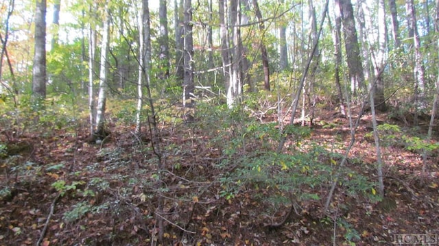 LOT113 W Christy Trl, Sapphire NC, 28774 land for sale