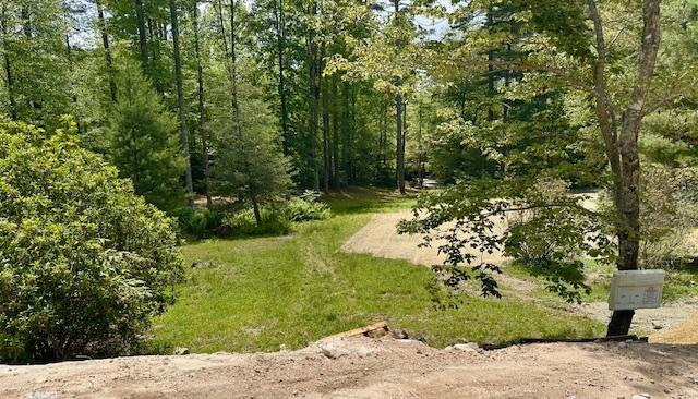 298 Pine Forest Rd, Sapphire, NC 28774 - view of community