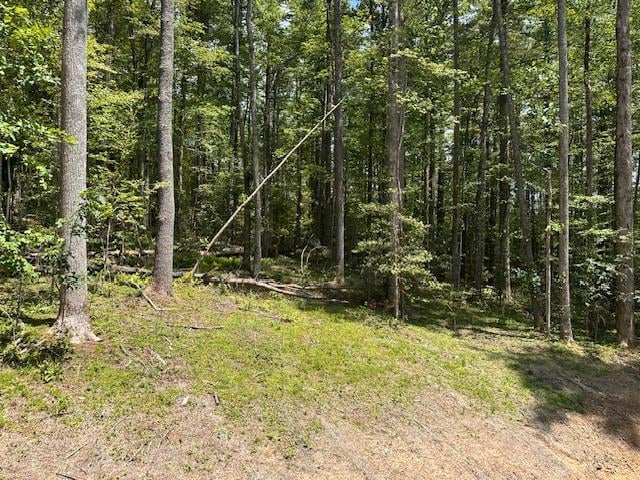 298 Pine Forest Rd, Sapphire, NC 28774 - view of woods