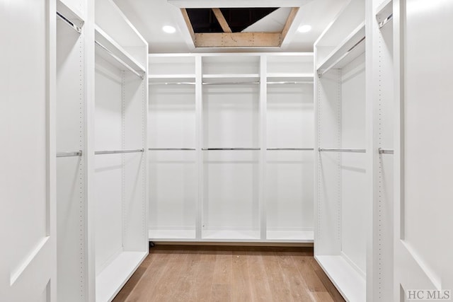 walk in closet featuring light hardwood / wood-style flooring