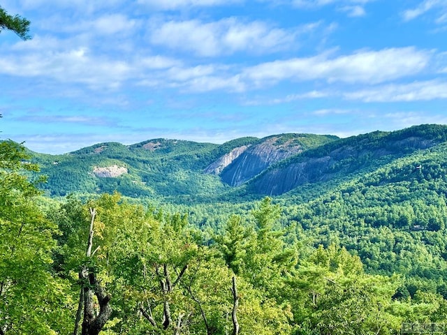 view of mountain feature