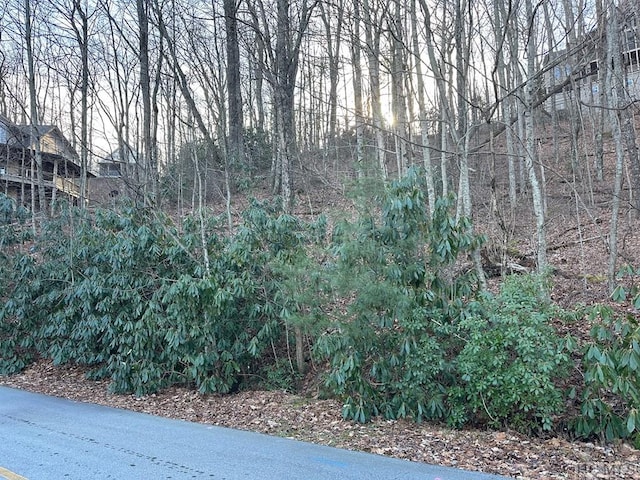 Listing photo 3 for LOT91 Bald Eagle Ct, Sapphire NC 28774