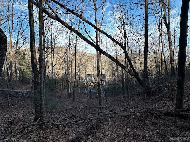 Listing photo 2 for LOT91 Bald Eagle Ct, Sapphire NC 28774