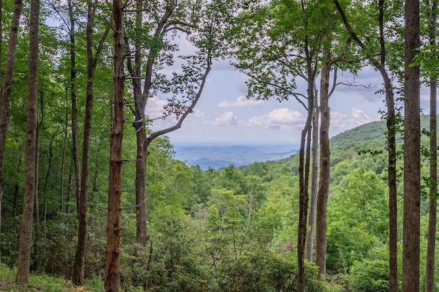 TBD Kettle Rock Rd, Highlands, NC 28741