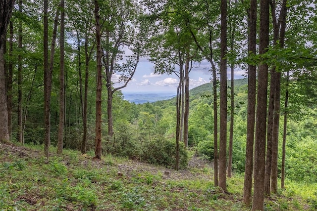TBD Kettle Rock Rd, Highlands, NC 28741