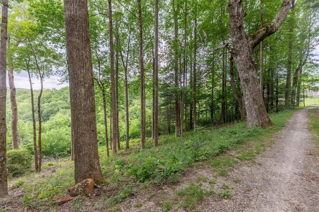 TBD Kettle Rock Rd, Highlands, NC 28741
