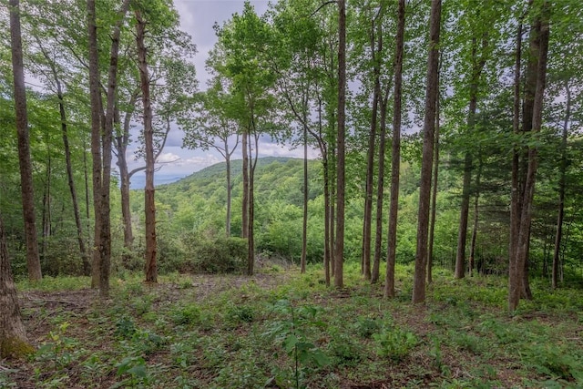 TBD Kettle Rock Rd, Highlands, NC 28741