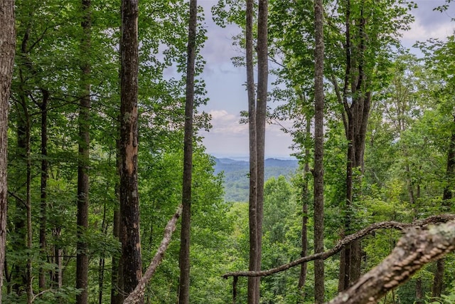 TBD Kettle Rock Rd, Highlands, NC 28741