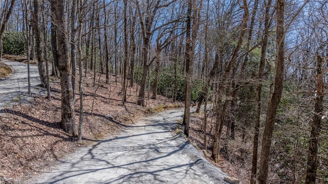 TBD Kettle Rock Rd, Highlands, NC 28741
