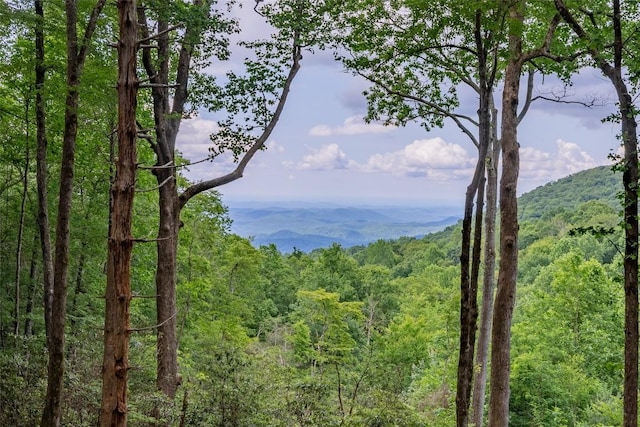 TBD Kettle Rock Rd, Highlands, NC 28741