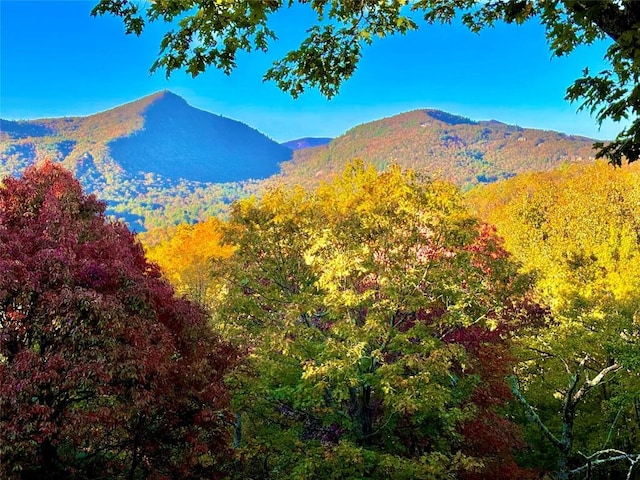 drone / aerial view featuring a forest view and a mountain view