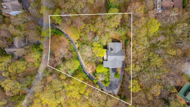aerial view
