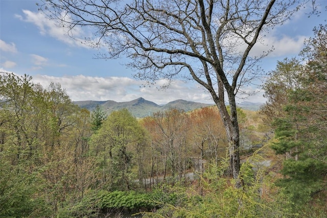 property view of mountains featuring a forest view