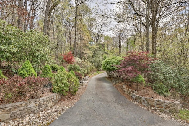 view of street featuring a view of trees