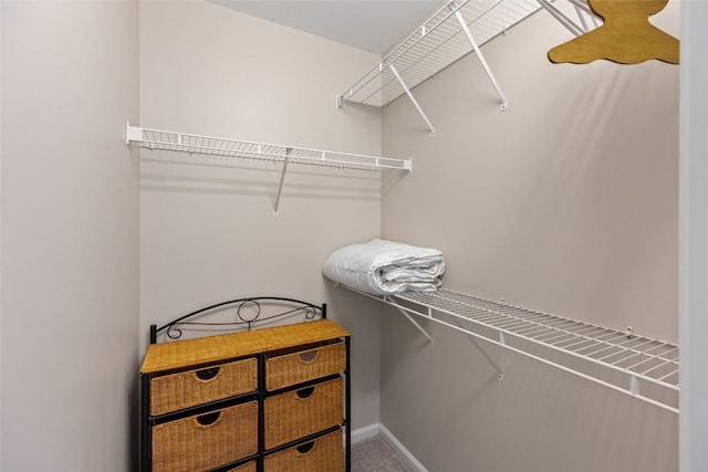 view of spacious closet