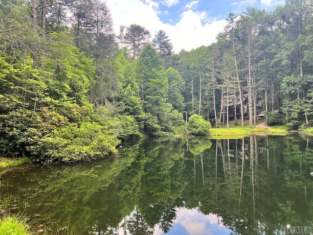 view of landscape with a water view