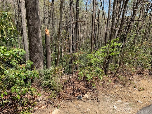 Listing photo 2 for LOT31 Beech Ct, Sapphire NC 28774