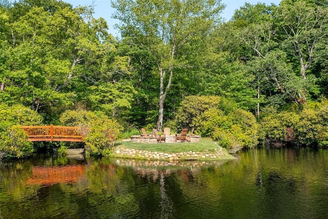 property view of water with a forest view and a fire pit