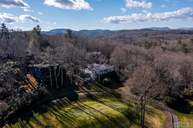 aerial view with a mountain view and a view of trees