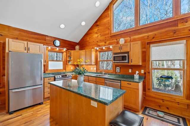 kitchen featuring light wood-style flooring, wooden walls, stainless steel appliances, and a sink