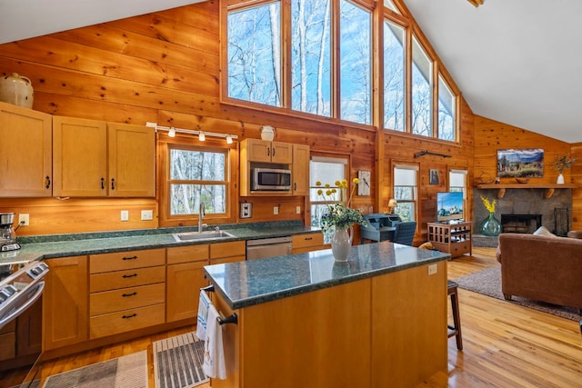 kitchen featuring a stone fireplace, wooden walls, a sink, appliances with stainless steel finishes, and a center island