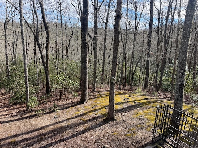 view of yard featuring a wooded view