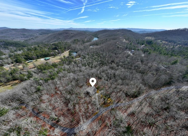 aerial view featuring a mountain view