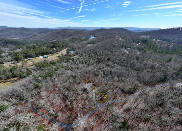 drone / aerial view featuring a mountain view